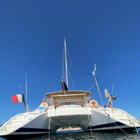 Отель Catamaran Cypraea Тер-де-О Экстерьер фото