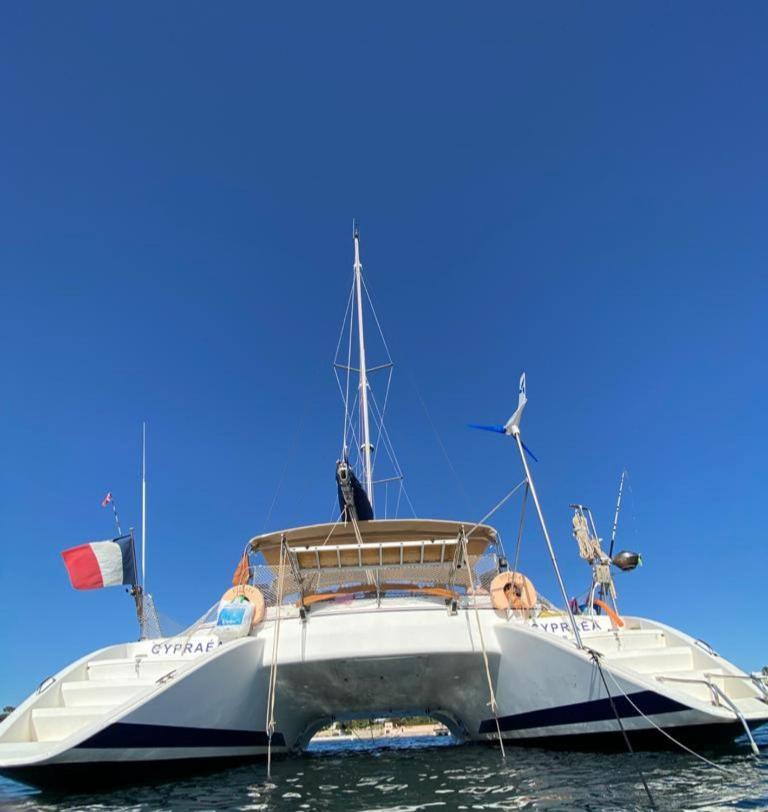 Отель Catamaran Cypraea Тер-де-О Экстерьер фото